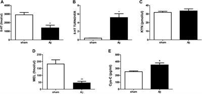 Precision Medicine in Alzheimer’s Disease: Investigating Comorbid Common Biological Substrates in the Rat Model of Amyloid Beta-Induced Toxicity